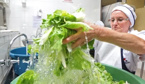 Serviços de Nutrição e Alimentação Coletiva-Provac