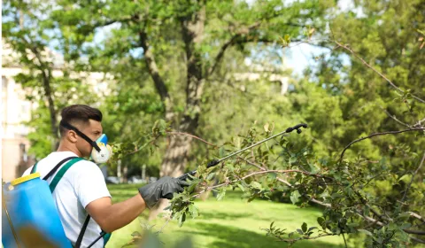 Controle Ambiental e Sanitização-Provac